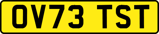 OV73TST
