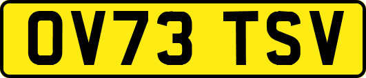 OV73TSV