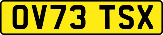 OV73TSX