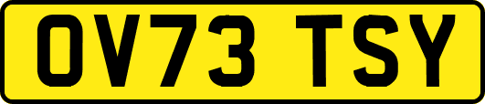 OV73TSY