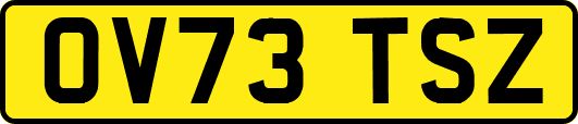 OV73TSZ