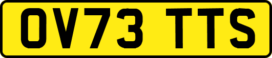 OV73TTS