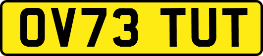 OV73TUT
