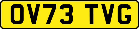 OV73TVG