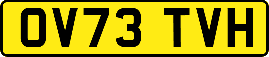 OV73TVH
