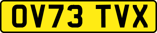 OV73TVX