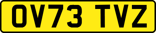 OV73TVZ