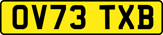 OV73TXB
