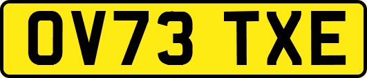 OV73TXE