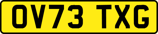 OV73TXG