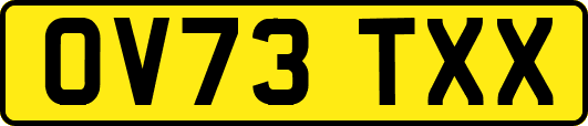 OV73TXX
