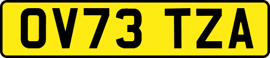 OV73TZA