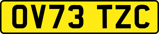 OV73TZC