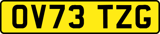 OV73TZG