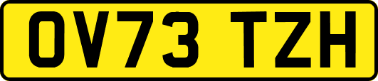 OV73TZH
