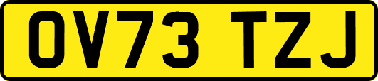 OV73TZJ