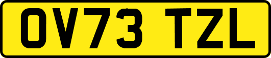 OV73TZL