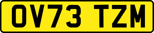 OV73TZM