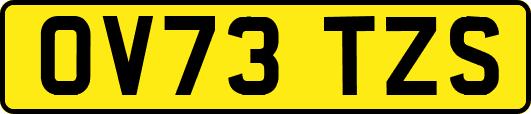 OV73TZS