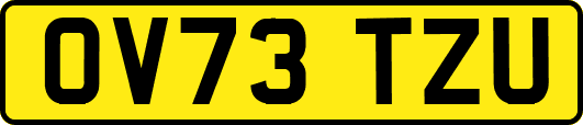 OV73TZU