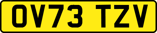 OV73TZV