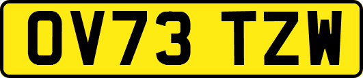 OV73TZW