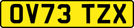 OV73TZX