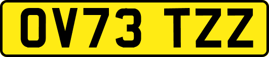 OV73TZZ