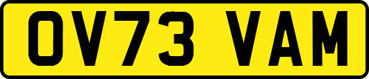 OV73VAM