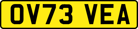 OV73VEA