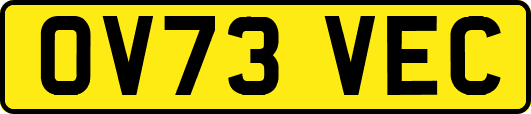 OV73VEC