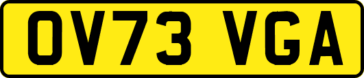 OV73VGA
