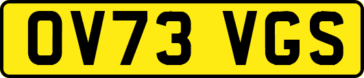 OV73VGS