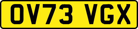 OV73VGX