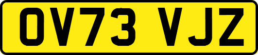 OV73VJZ