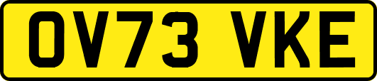 OV73VKE