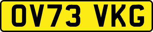 OV73VKG