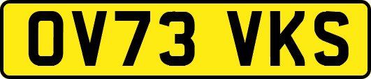 OV73VKS