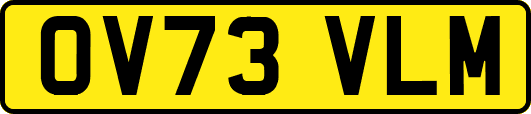 OV73VLM