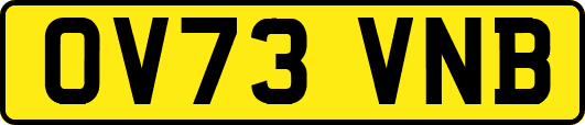 OV73VNB