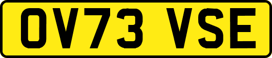 OV73VSE