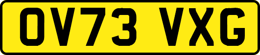 OV73VXG
