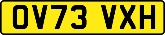 OV73VXH