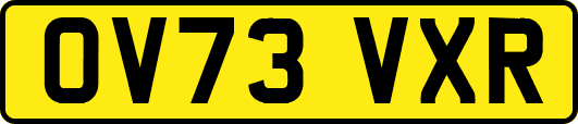 OV73VXR