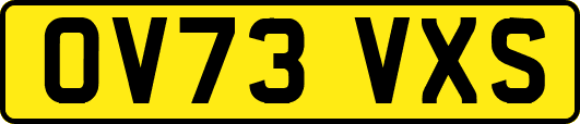 OV73VXS