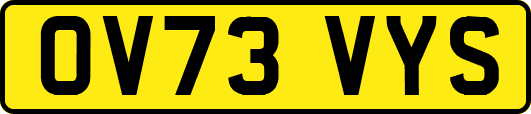 OV73VYS