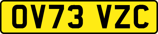 OV73VZC
