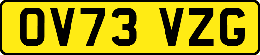 OV73VZG