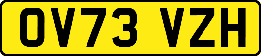 OV73VZH