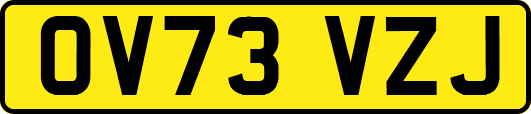 OV73VZJ